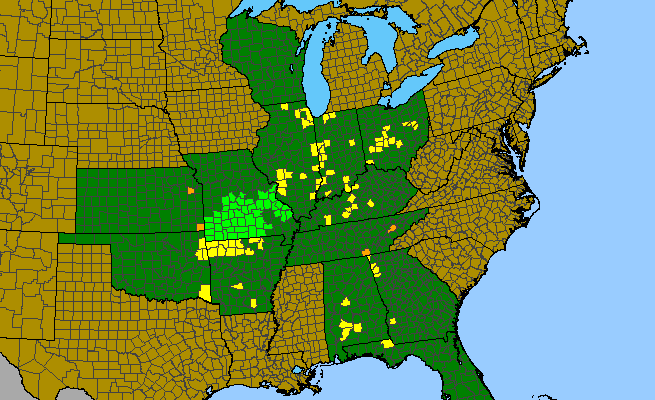 The range of Silene regia